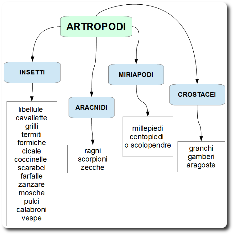 artropodi